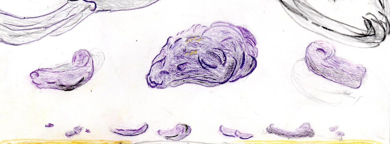 Scan 20a by Hawkbittern