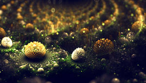 Bacteria Garden