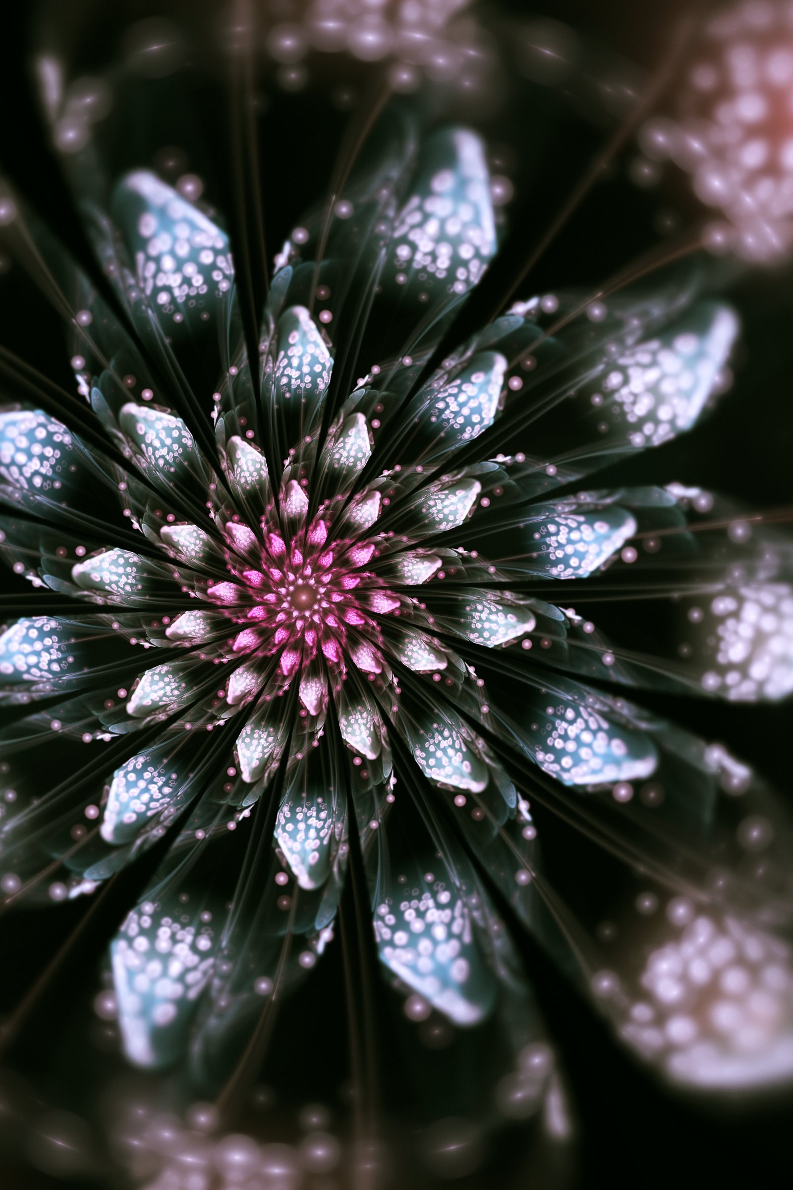 Dahlia