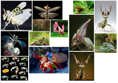 Explore the Best Mantisshrip Art | DeviantArt