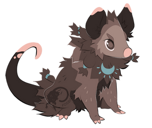 Opossum Adoptable CLOSED