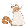 Cat Tutorial