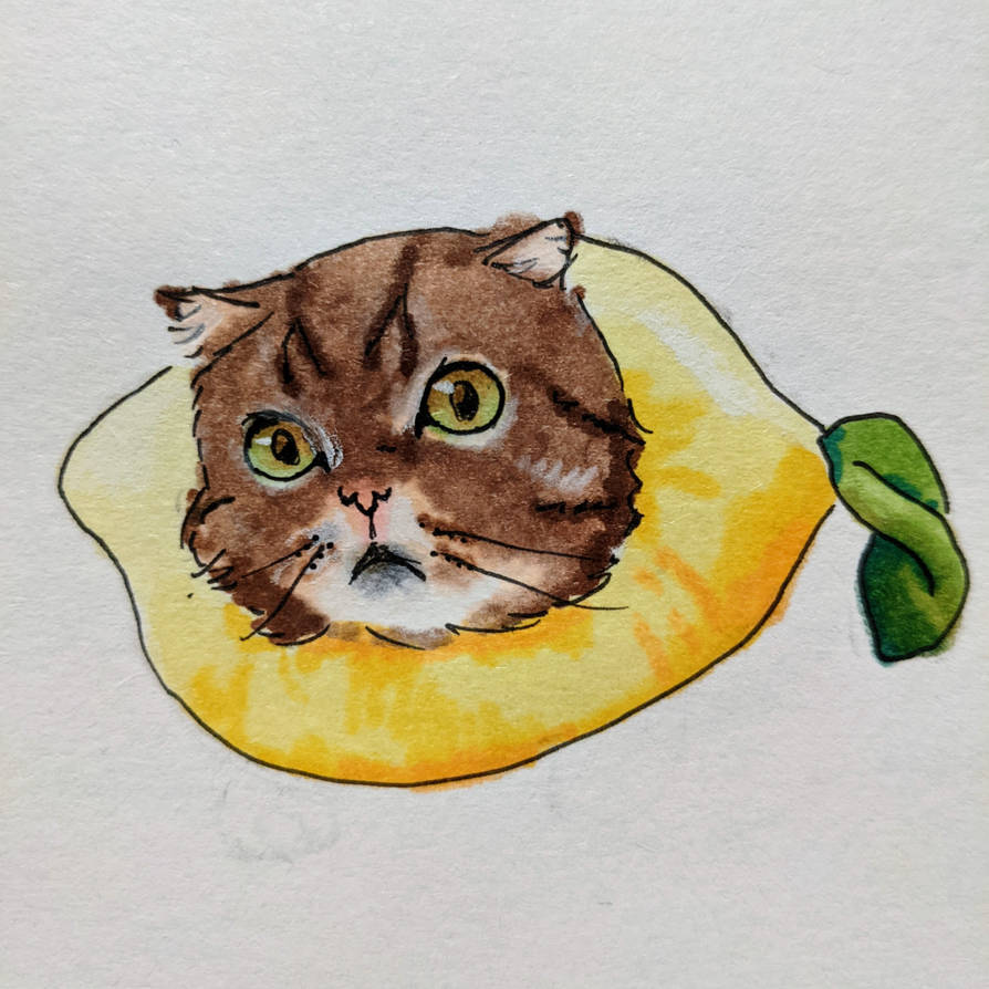 Lulu in a lemon by Spevie on DeviantArt