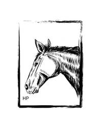 horse inktober 