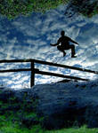 PhotoYoung In Flight by PhotoYoung