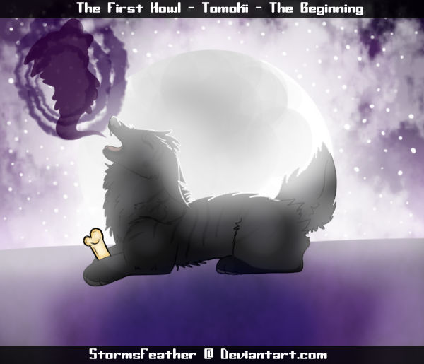 The Beginning - The first Howl by Stormsfeather on DeviantArt