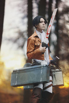 Levi cosplay