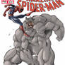 Spider Man Cover by Qba