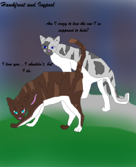 Hawkfrost Loves Ivypool By Dawn459 On Deviantart Hawkfrost Loves Ivypool By Dawn459 On Deviantart