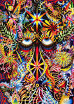 Nirvan by shadedmirrors
