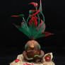 Carnivorous Mandrake