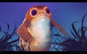 Just a curious Porg