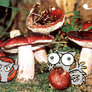 Pilz-e the squirrel on shrooms