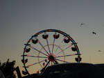 nature at the fair by analovecatdog