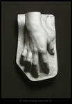 1488 - Leonardo's Hand by D0RIAN0