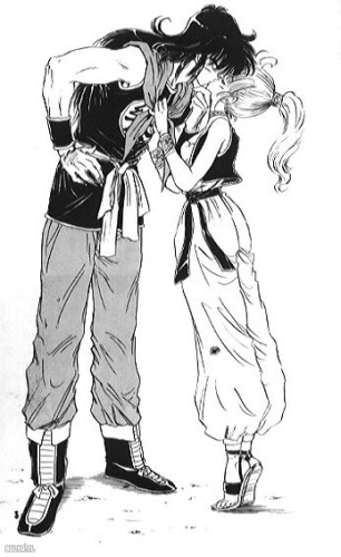 yamcha and bulma