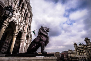 Budapest - Proud Lion of the Hungarian Parliament