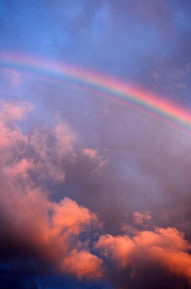 Corio Bay Rainbow