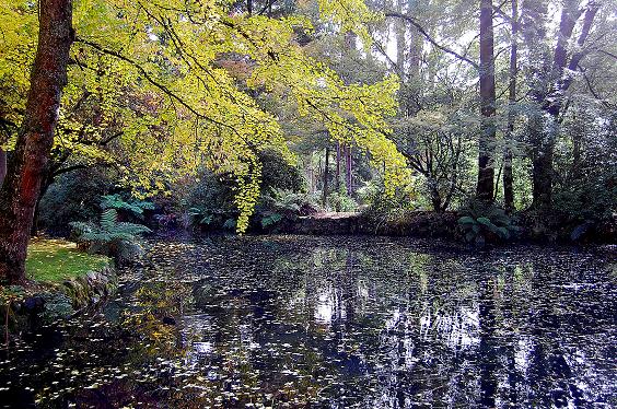 Alfred Nicholas Gardens 4