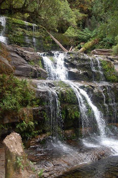 Liffey Falls - tasmania 4