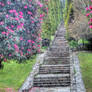 Rose stairway