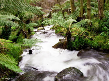 Waterfalls-Marysville 2