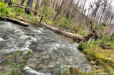 Taggerty River HDR