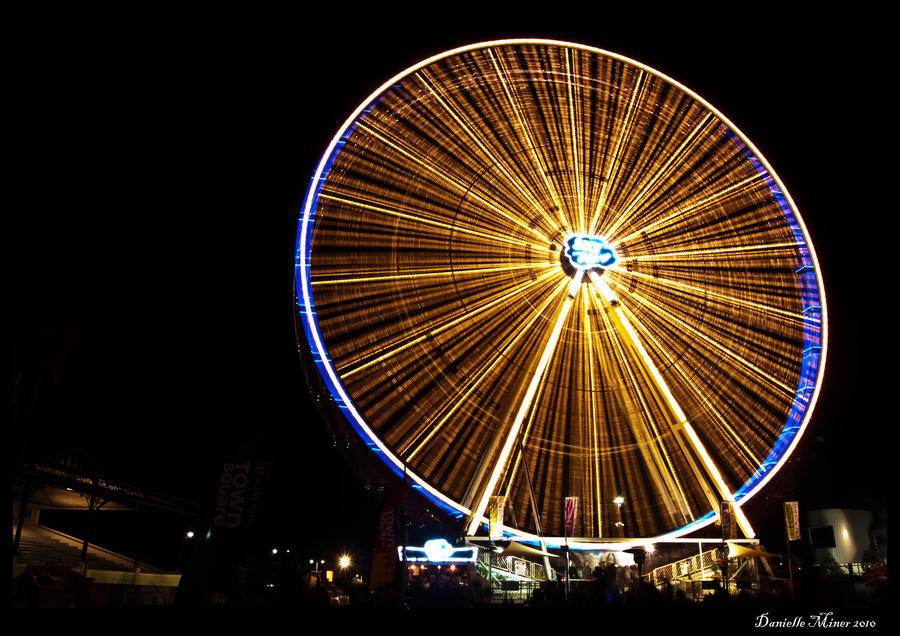 Melbourne Show: Sky High