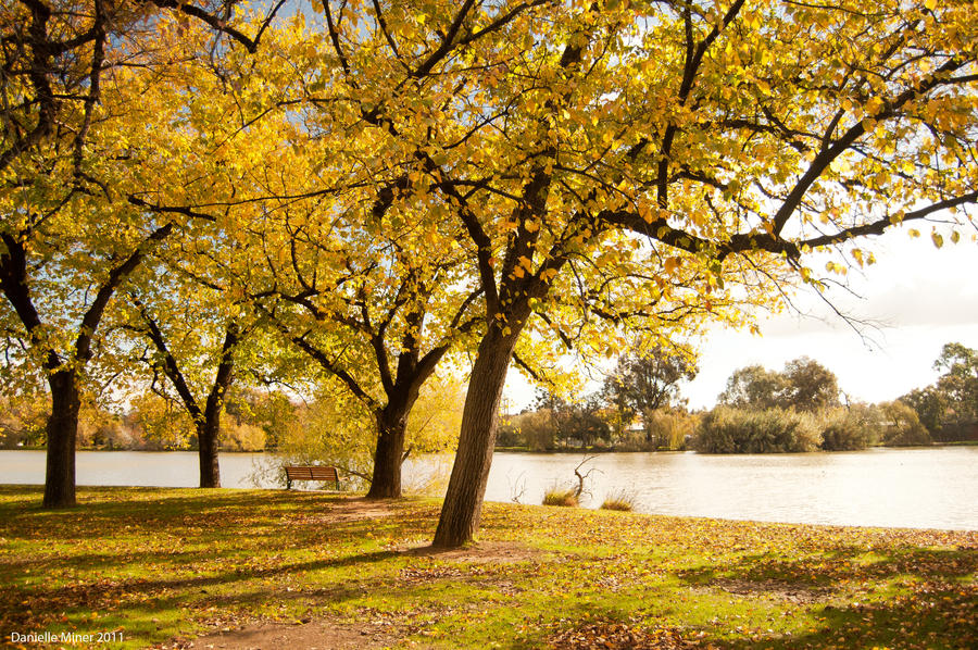 Autumn Day