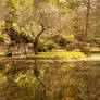 Alfred Nicholas Gardens