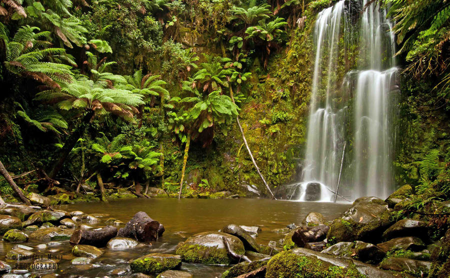 Beauchamp Falls Otways