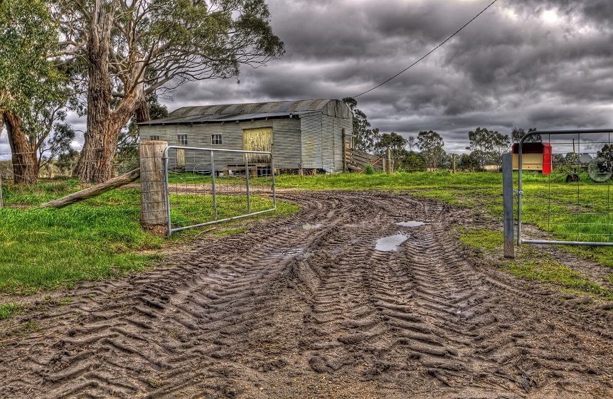 Country Scene