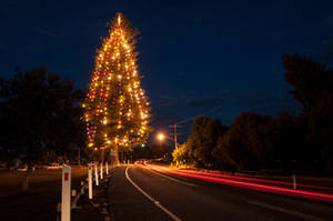 Point Lonsdale Christmas tree