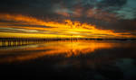 Corio Bay Sunrise by daniellepowell82