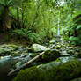 Erskine Falls Lorne