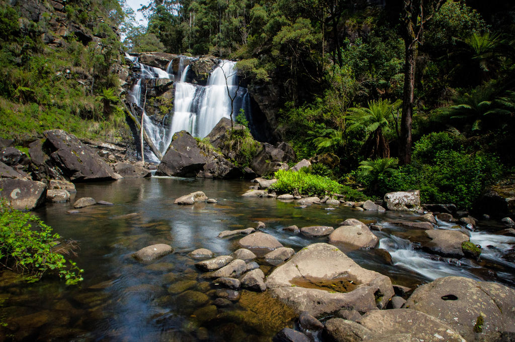 Stevenson Falls Otways 2