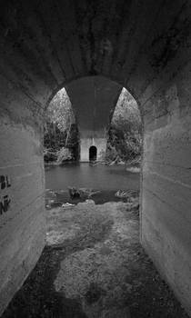 Under Fyansford Bridge