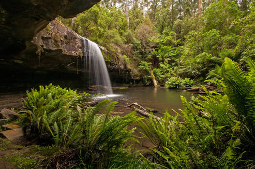 Lower Kalimna Falls