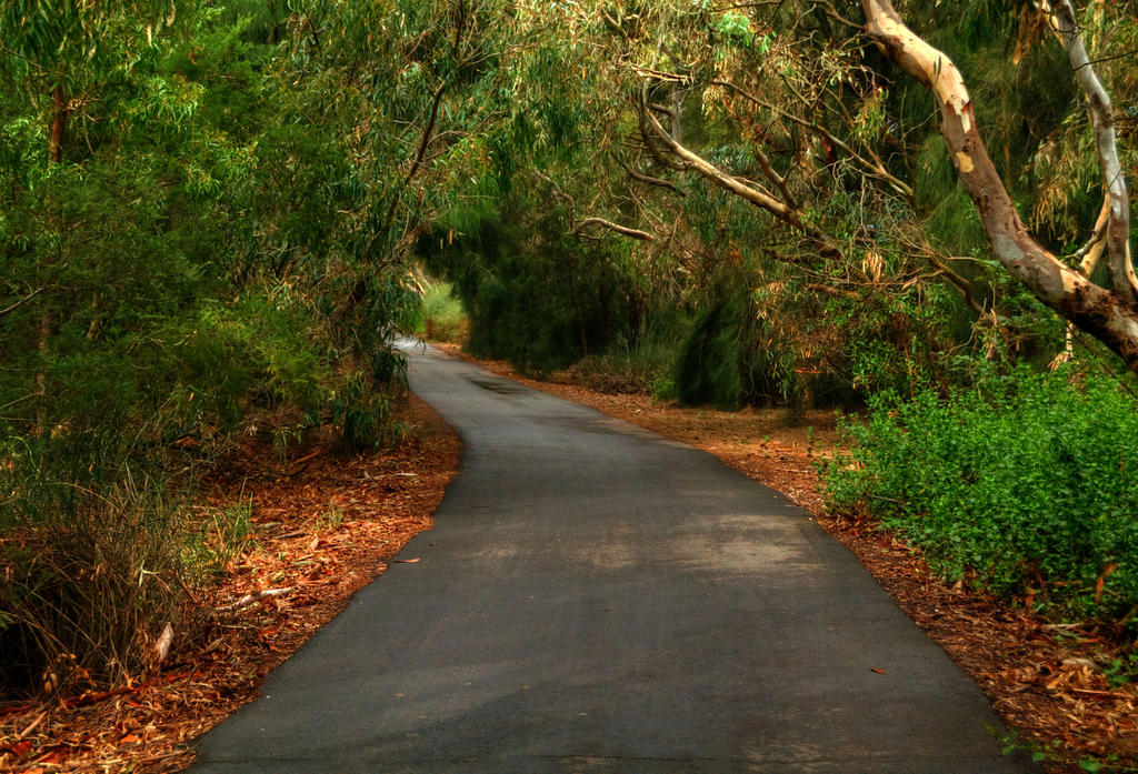 Barwon River Walking Track