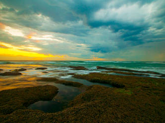 Queenscliff Sunset