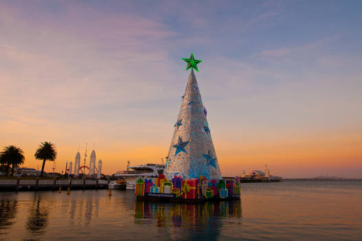 Geelong Christmas Tree