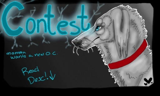 CONTEST!