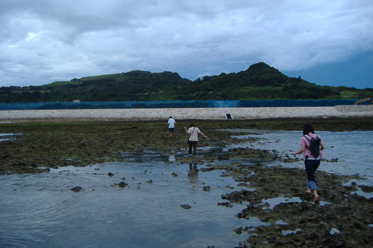 Waiting for the Tide