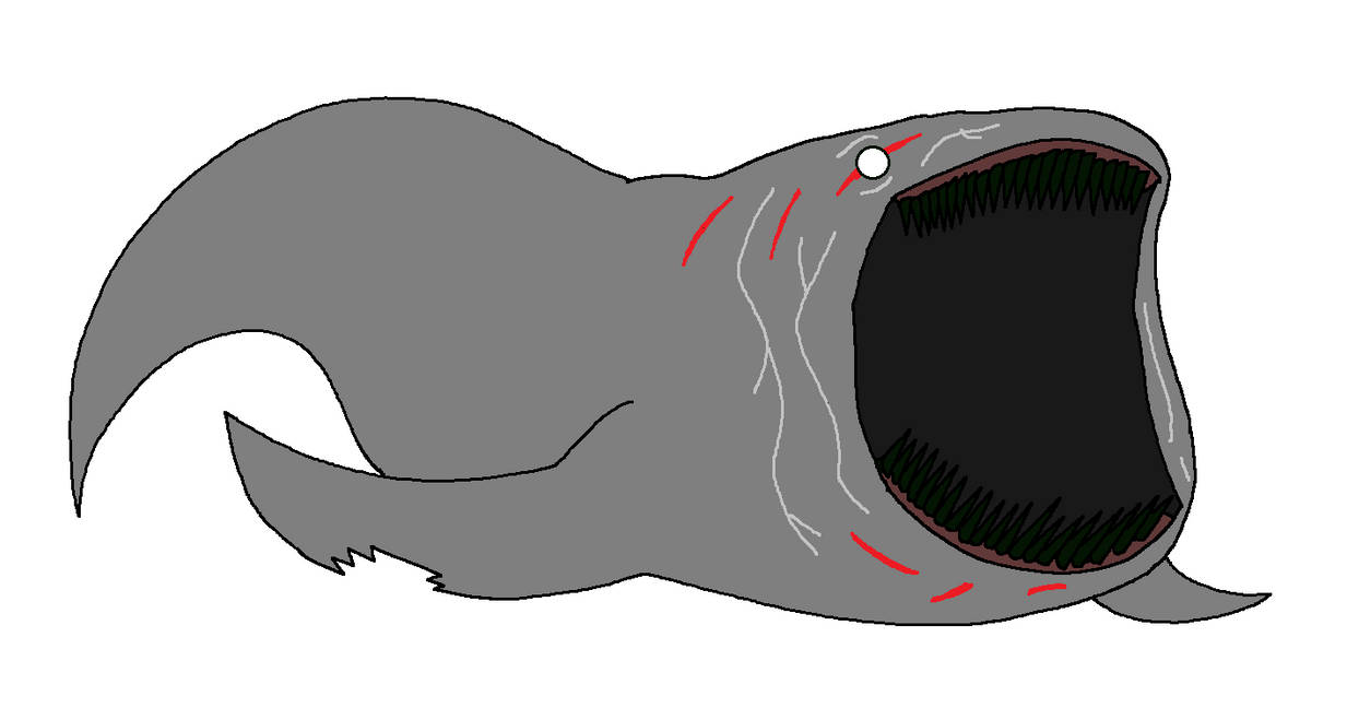 The Bloop by Animallover4813 on DeviantArt