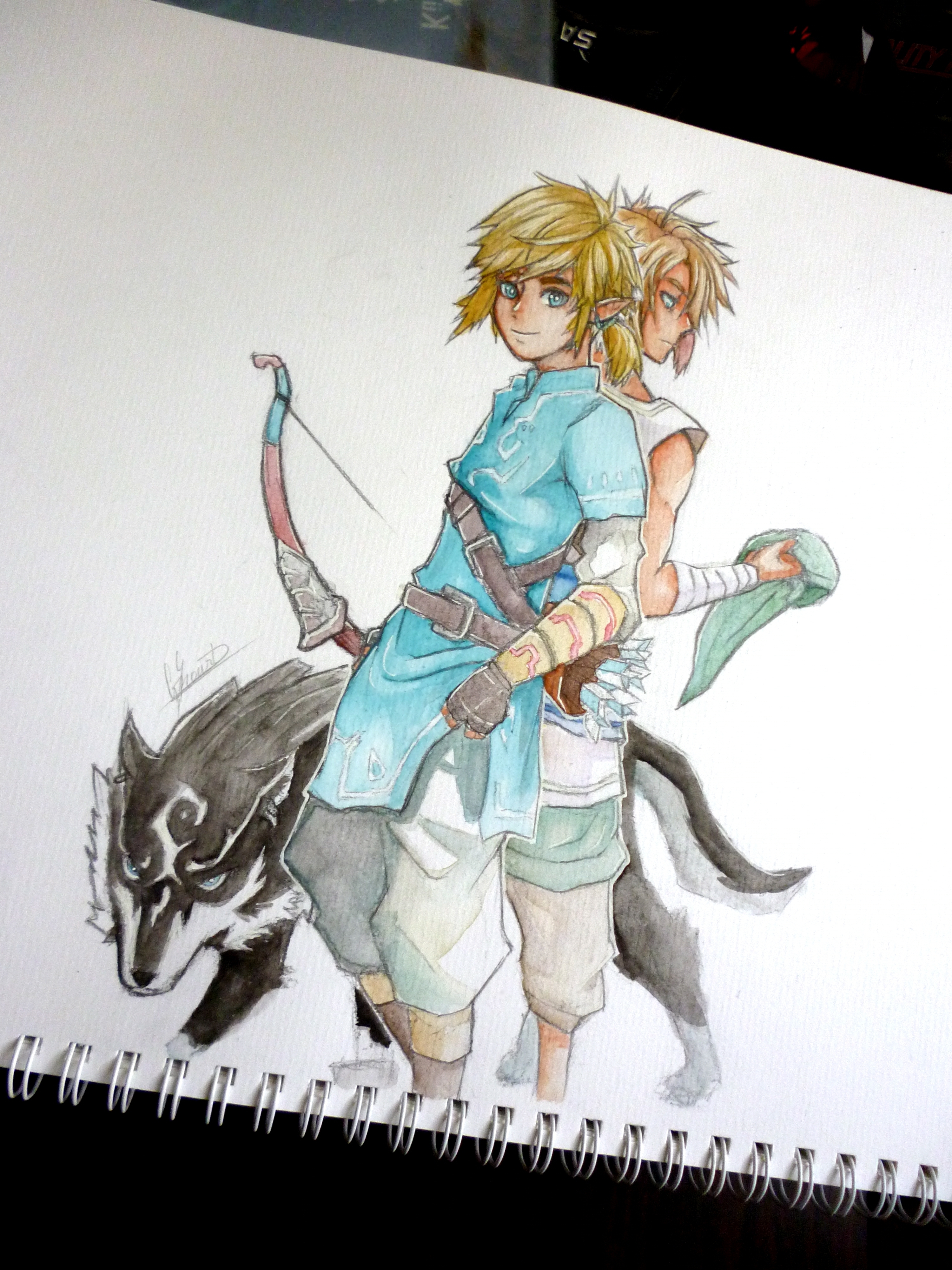 BotW] Fanart - Link (Zelda Breath of the wild) : r/zelda