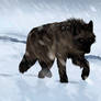 Realism art wolf