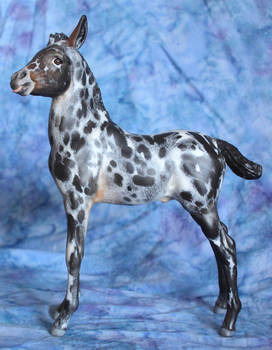 customized Breyer Proud Arabian Foal