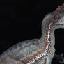 Foulkes Allosaurus WIP 2