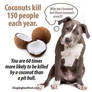 Ban Coconuts