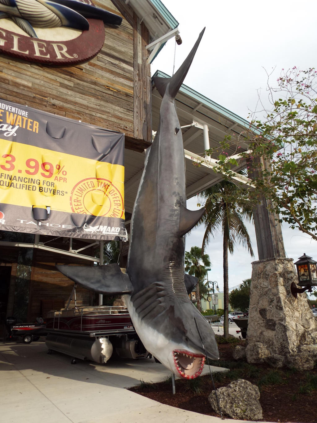 Gigantic Shark Display at Bass Pro Shop